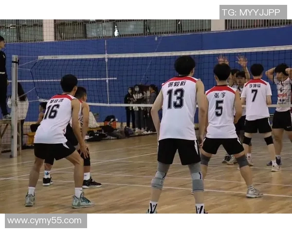 重庆排球队的意识提升与团队协作探讨聚焦排球运动的未来发展