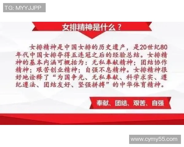 深圳排球队的团队协作揭秘：排球巨献背后的默契与拼搏精神